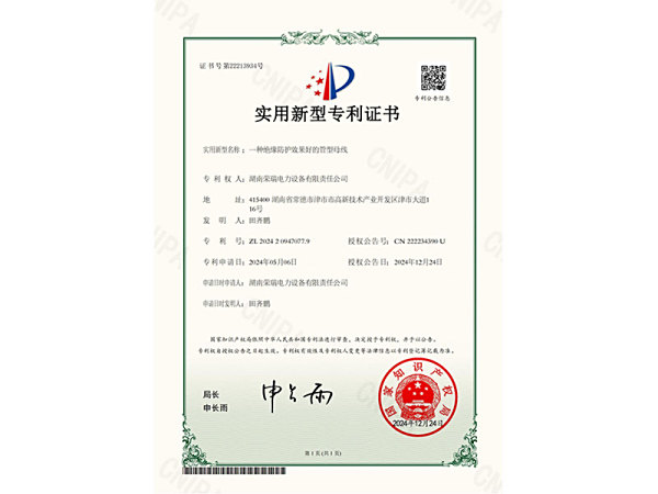 专利