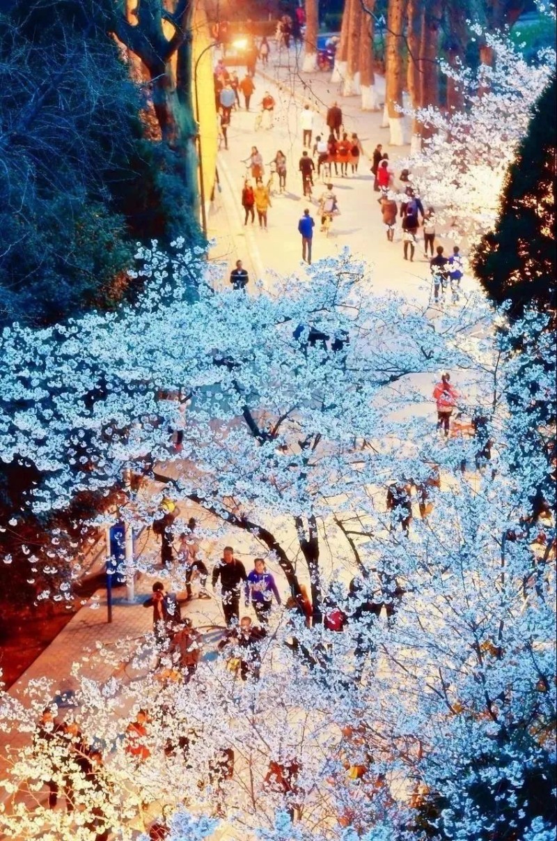 图片 2