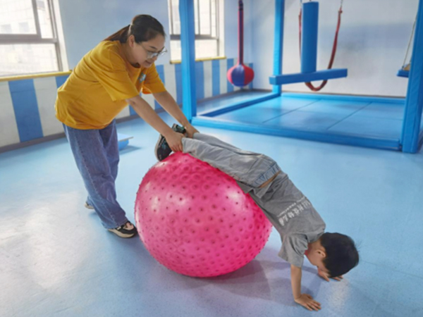 感觉统合训练 感觉统合训练