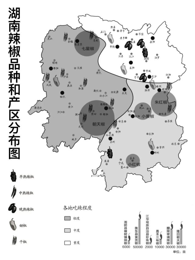 图片 28
