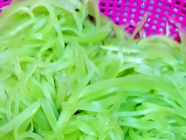 食材展示