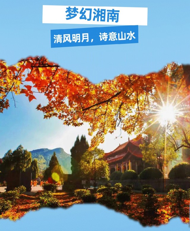 图片 123