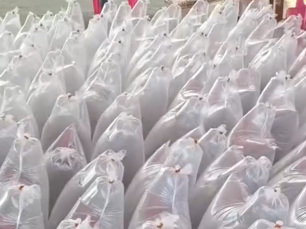 鱼苗装袋