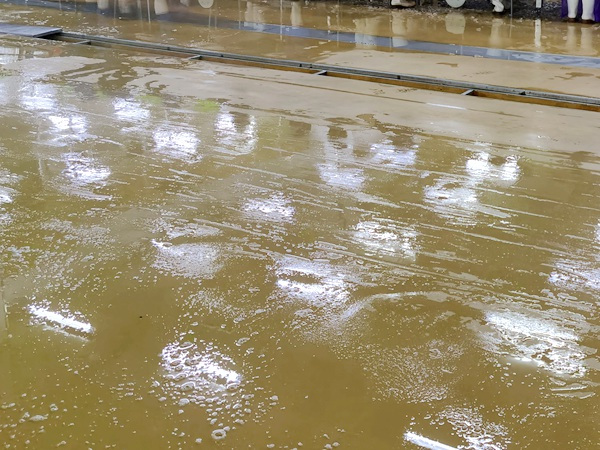 食品厂地坪解决方案 (3)