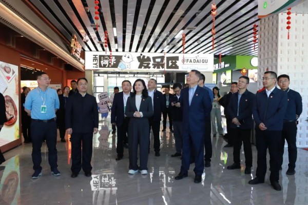 图片 12