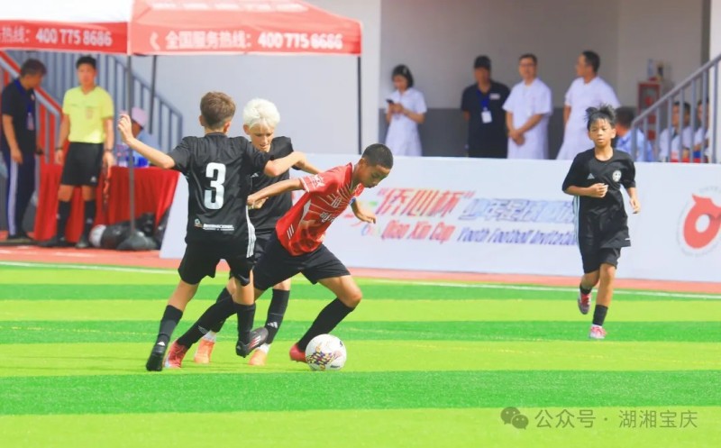 图片 6