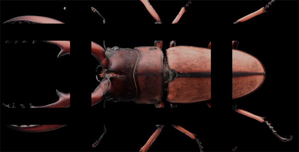 文章4 (3) 文章4 (3)