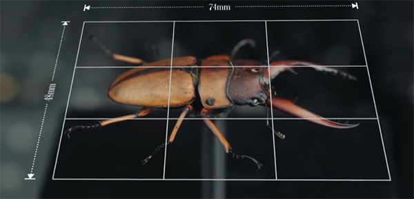 文章4 (4) 文章4 (4)