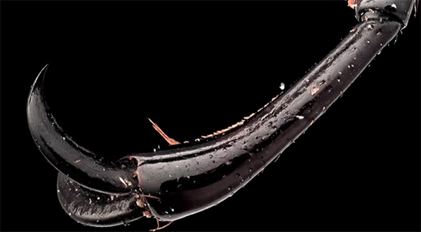 文章4 (2) 文章4 (2)