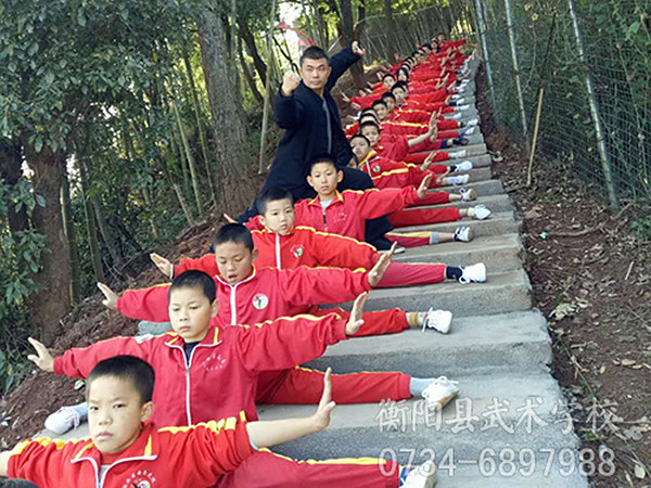 武术有哪些种类，学武术学什么比较好