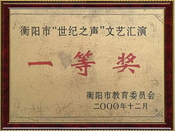 文艺汇演一等奖