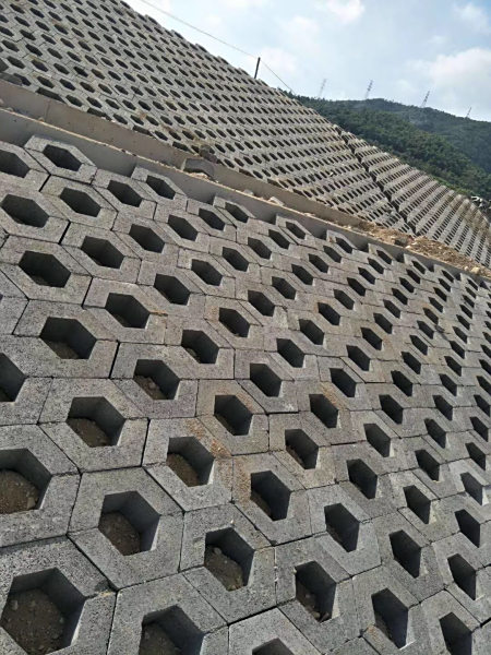护坡砖案例