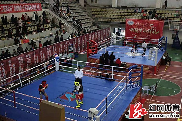 衡阳县南岳武术学校,南岳武术学院,衡阳哪里可以学武术,武术学校