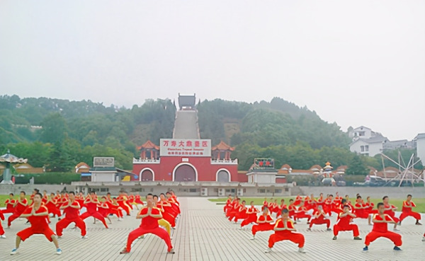 学武术好还是学跆拳道好，二者有什么区别