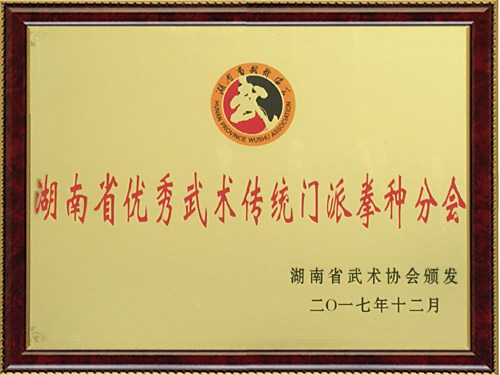 优秀武术传统门派拳种分会