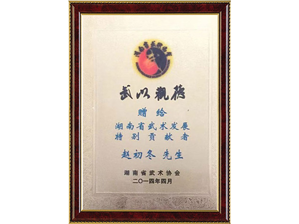 武术发展特别贡献者