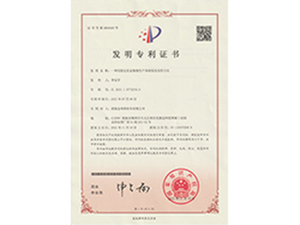 发明专利1 发明专利1