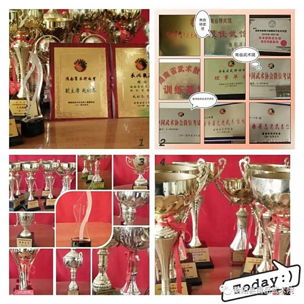 文武学校,全封闭学校,武术学校