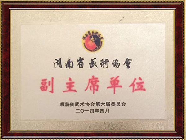 武术协会副主席单位