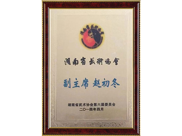 武术协会副主席