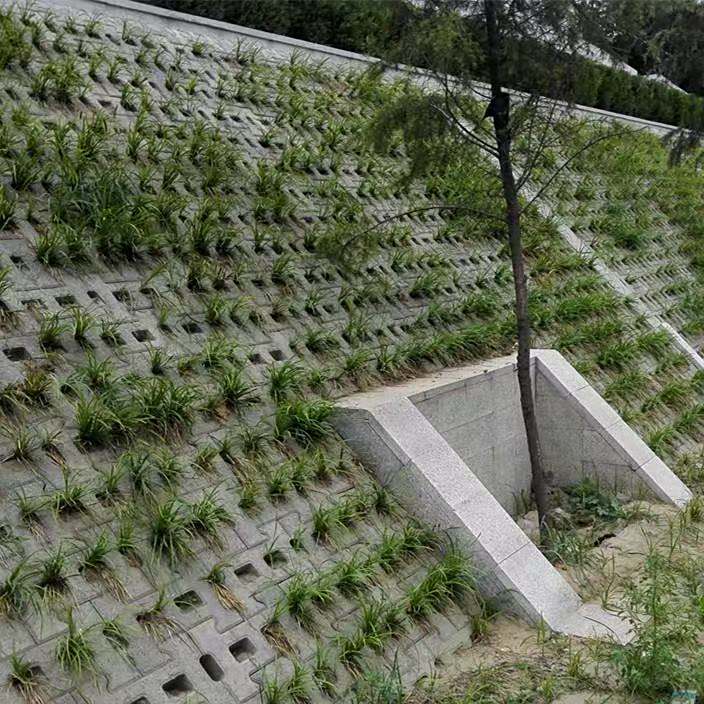 生态砖案例 (3)