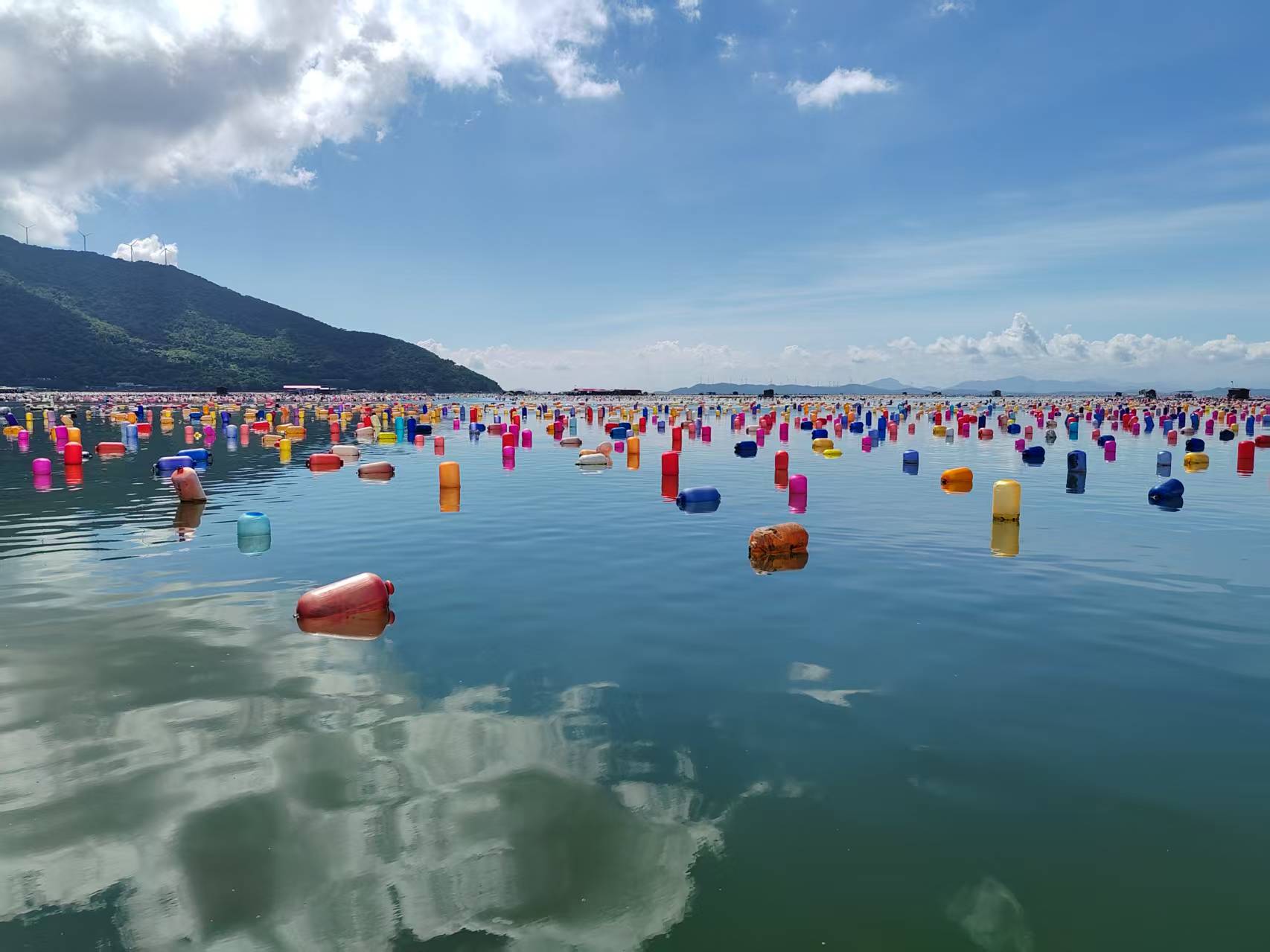 7a2d92ddfdb7ce4b215cd38dddf53a