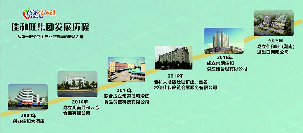 发展历程 发展历程