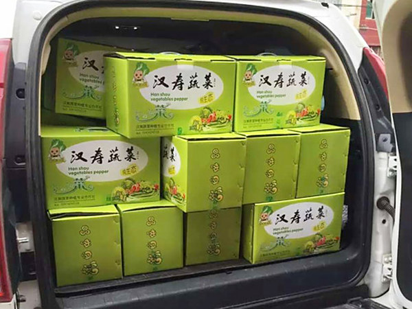 精品甜瓜