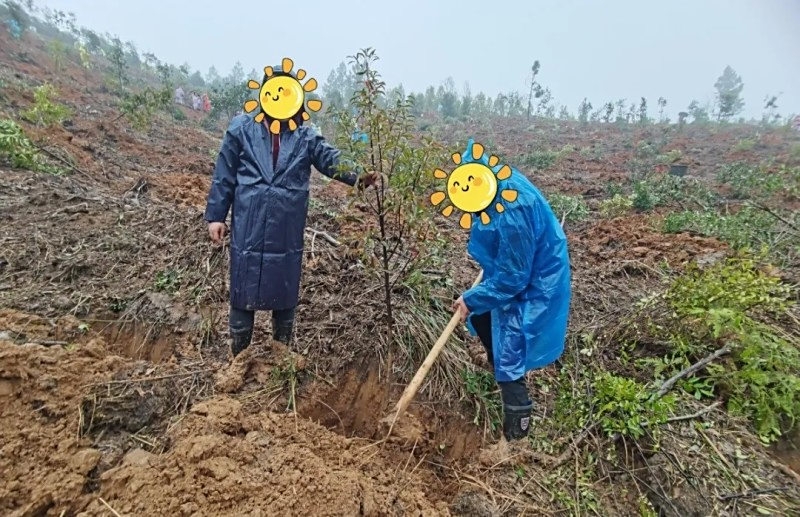 邵阳市宝庆精神病医院,邵阳诱发电位仪,ES型失眠治疗仪,500mAX光就机