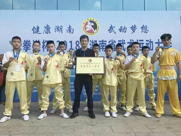 湖南省武术大赛