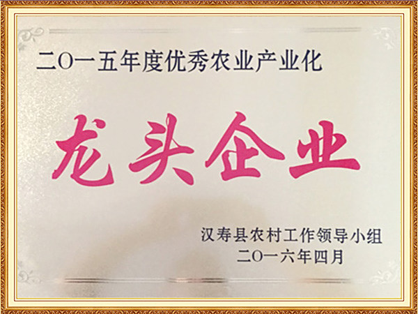 2016年龙头企业