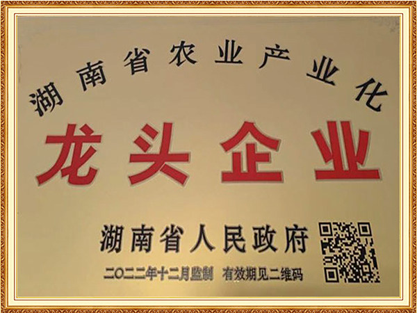 省龙头企业