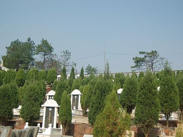 陕西凤翔探明一座秦公陵园 发现新型“丰”字形大墓