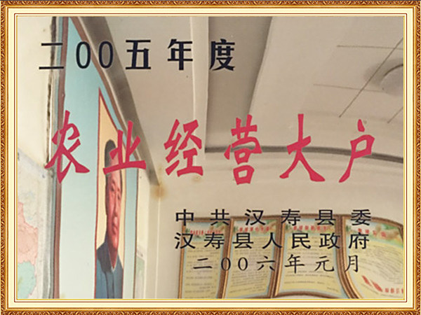农业经营大户
