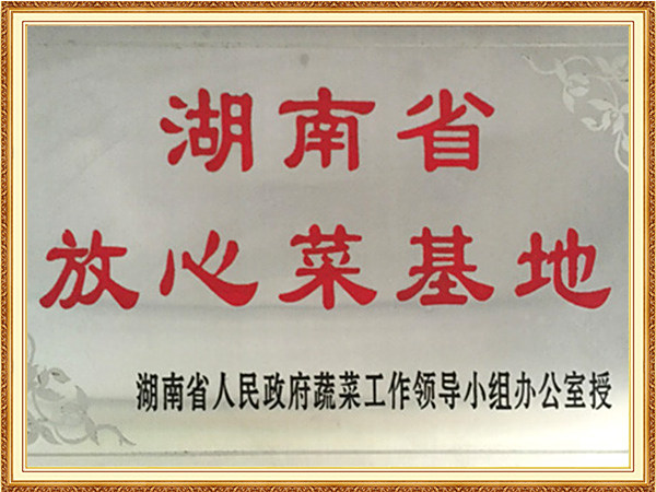 湖南省放心菜基地