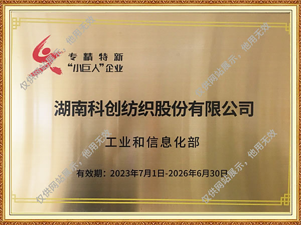 专精特新“小巨人”企业