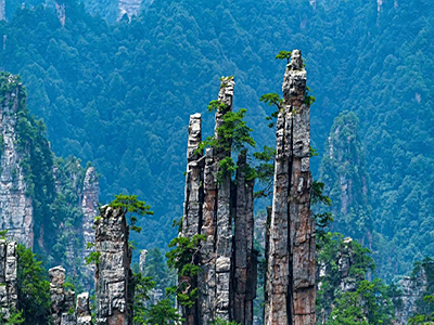 张家界旅游路线4天3晚（森林公园-玻璃桥-天门山-凤凰）