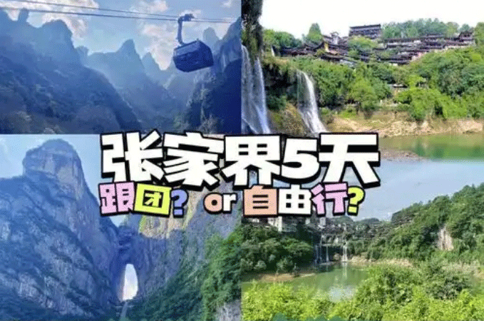 春節(jié)去張家界報團旅游哪個旅行社好？跟團游和自由行哪個好！