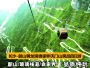 湖南张家界旅游路线6天5晚（长沙-韶山-张家界-天门山-芙蓉镇-凤凰）