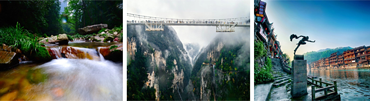 张家界跟团游,张家界自由行,张家界自驾游,张家界中国国际旅行社有限公司