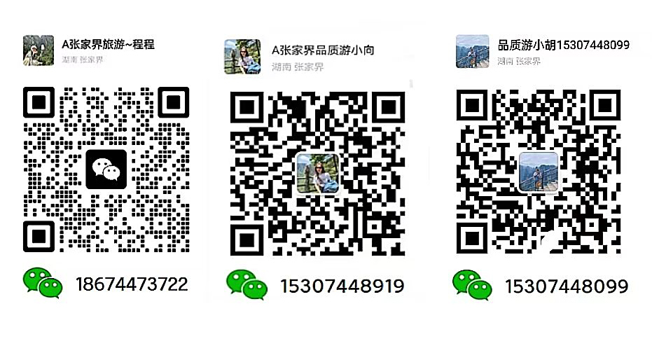 张家界跟团游,张家界自由行,张家界自驾游,张家界中国国际旅行社有限公司