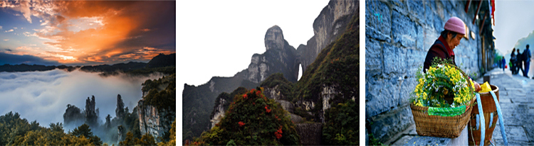 张家界跟团游,张家界自由行,张家界自驾游,张家界中国国际旅行社有限公司