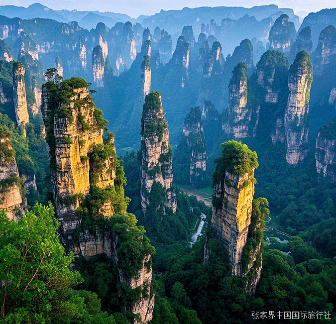 张家界跟团游,张家界旅游攻略5天自由行,张家界自驾游,张家界旅游路线攻略,张家界中国国际旅行社