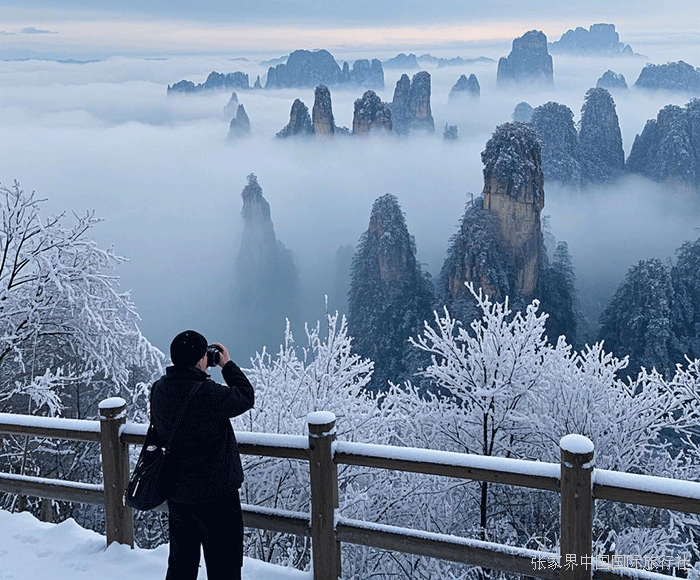 张家界跟团游,张家界旅游攻略5天自由行,张家界自驾游,张家界旅游路线攻略,张家界中国国际旅行社