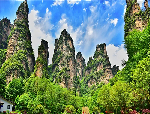 张家界跟团游,张家界旅游攻略5天自由行,张家界自驾游,张家界旅游路线攻略,张家界中国国际旅行社