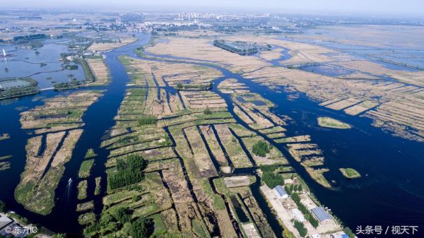 重磅！十亿大标！玉诚环境成功中标雄安新区环卫项目