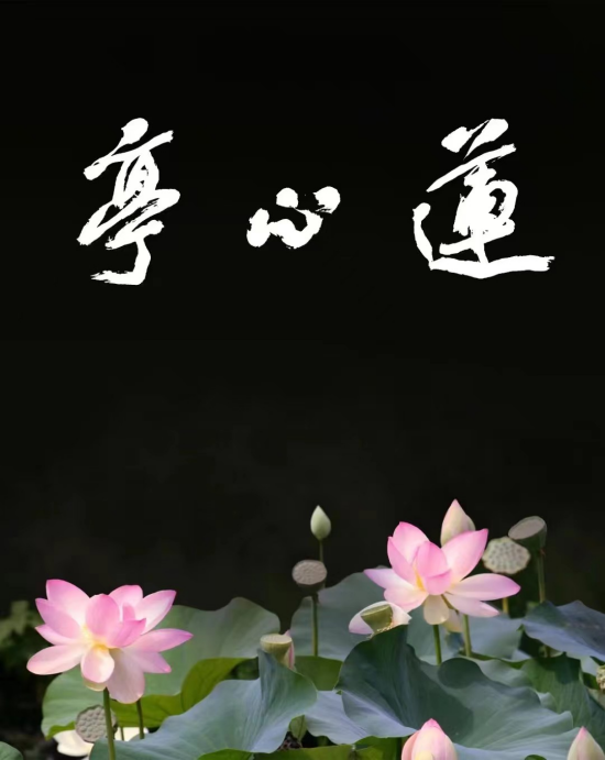 周敦颐理学文化研究与传承 | 爱莲说 | 周敦颐后裔 | 濂溪书院