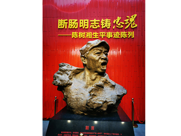 开展坚定的理想信念，弘扬红色文化活动