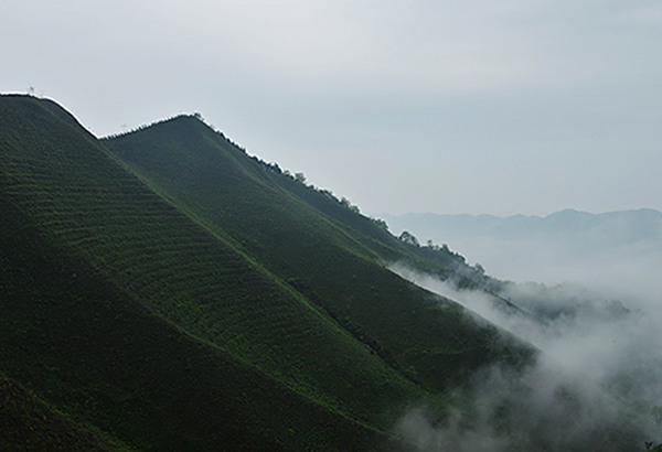 百尼茶庵基地 (3)