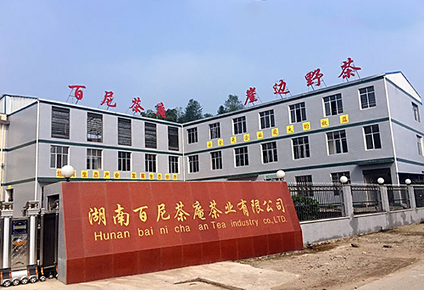 公司全貌